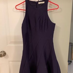 Purple Structured Formal Dress